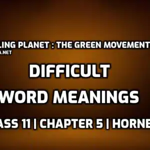Hard Words  The Ailing Planet the Green Movement’s Role edumantra.net