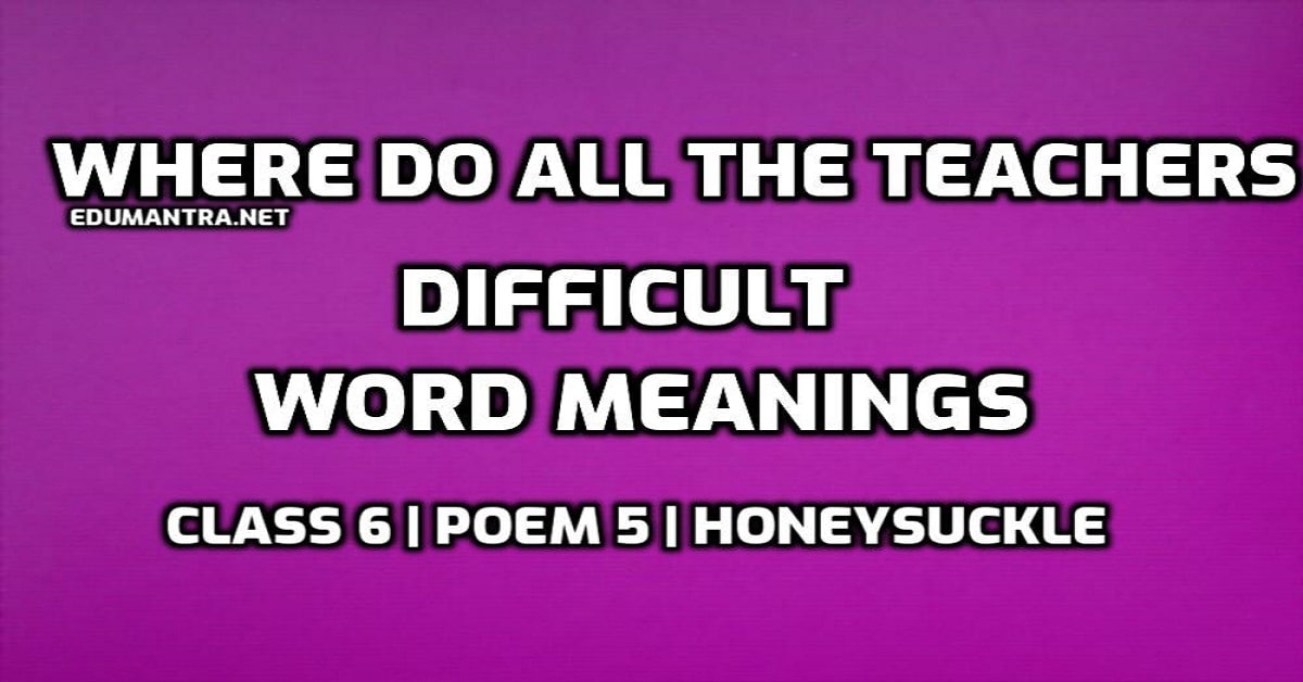 hard-words-where-do-all-the-teachers-go-difficult-words-in-english