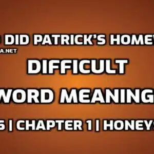 Hard Words Who Did Patrick’s Homework edumantra.net