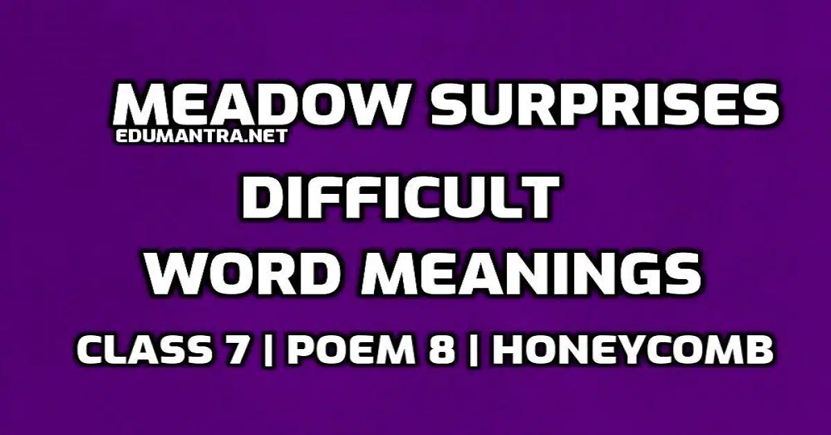 Meadow Surprises Word Meaning with Hindi edumantra.net