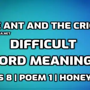 Hard Words : The Ant and the Cricket Difficult Words in English with