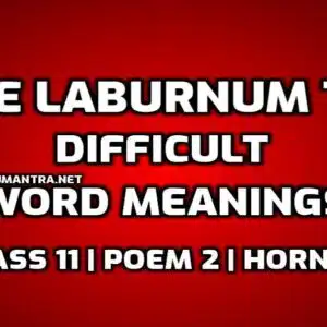 The Laburnum Top Word Meaning with Hindi edumantra.net