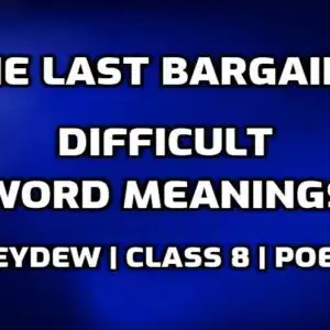 Hard Words : The Last Bargain Difficult Words in English with Hindi