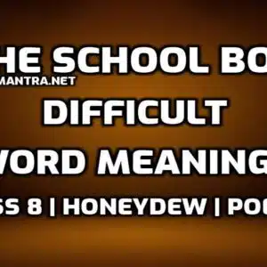 The School Boy Word Meaning with Hindi edumantra.net