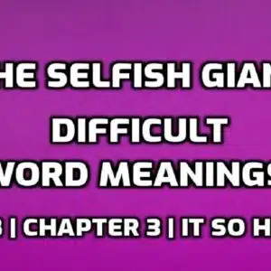 The Selfish Giant Word Meaning with Hindi edumantra.net