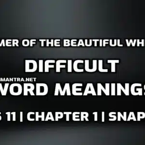 The Summer of the Beautiful White Horse Word Meaning with Hindi edumantra.net