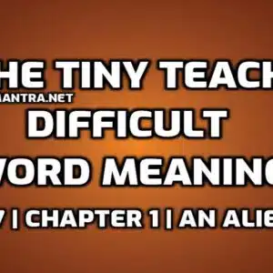 The Tiny Teacher Word Meaning with Hindi edumantra.net