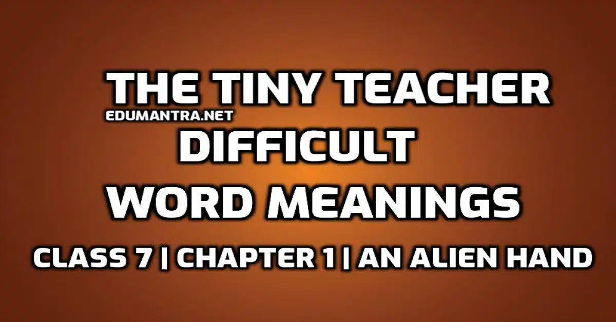 The Tiny Teacher Word Meaning with Hindi edumantra.net