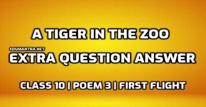 A Tiger in the Zoo Extra Question Answer in English edumantra.net