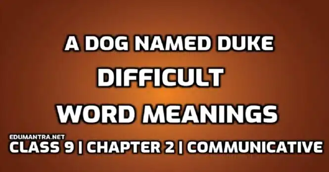 Hard Words A Dog named Duke Difficult Words in English with Hindi Meaning edumanra.net
