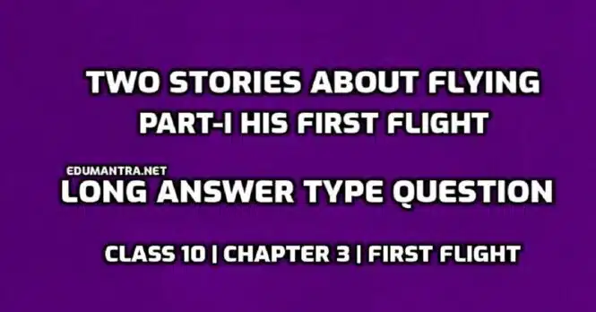 Two Stories About Flying Part-I His First Flight Long Answer Type Question edumantra.net