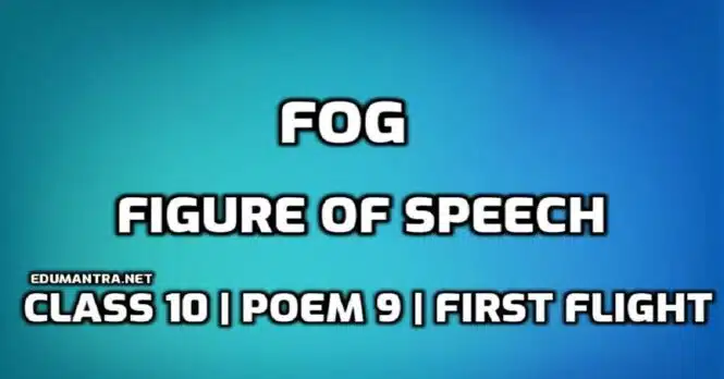 Figure of Speech in Fog Class 10 edumantra.net