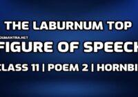 Figure of Speech in The Laburnum Top edumantra.net