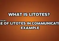 Litotes Mastering the Subtle Art of Understatement in Language edumantra.net
