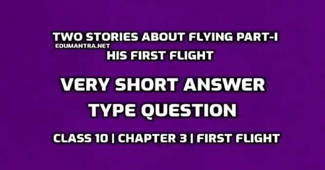 Two Stories About Flying Part-I Very Short answer Type Question edumantra.net