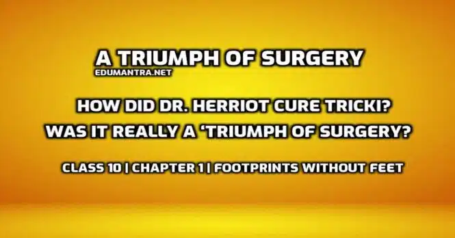 How did Dr. Herriot cure Tricki Was it really a ‘triumph of surgery edumantra.net