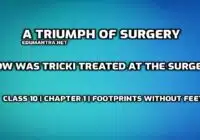 How was Tricki treated at the surgery edumantra.net