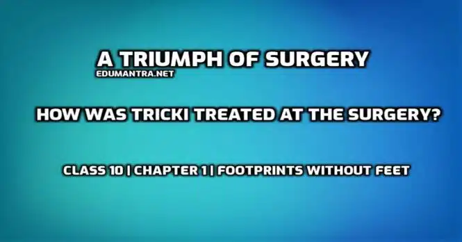 How was Tricki treated at the surgery edumantra.net