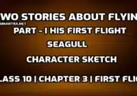 Seagull Character Sketch edumantra.net