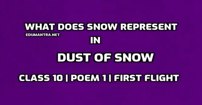 What does snow represent in dust of snow edumantra.net