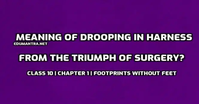 What is the meaning of drooping in harness from the triumph of surgery edumantra.net