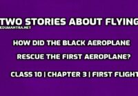 How did the Black Aeroplane rescue the first aeroplane edumantra.net
