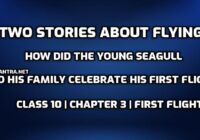 How did the young seagull and his family celebrate his first flight edumantra.net