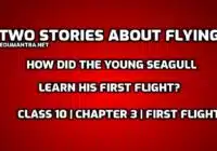 How did the young seagull learn his first flight edumantra.net