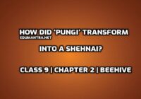 How did ‘pungi’ transform into a Shehnai edumantra.net