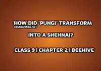 How did ‘pungi’ transform into a Shehnai edumantra.net