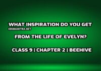 What inspiration do you get from the life of Evelyn edumantra.net