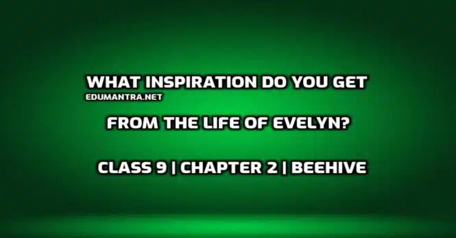 What inspiration do you get from the life of Evelyn edumantra.net