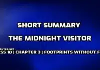 What is the short summary of the Midnight Visitor edumantra.net