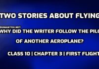 Why did the writer follow the pilot of another aeroplane edumantra.net