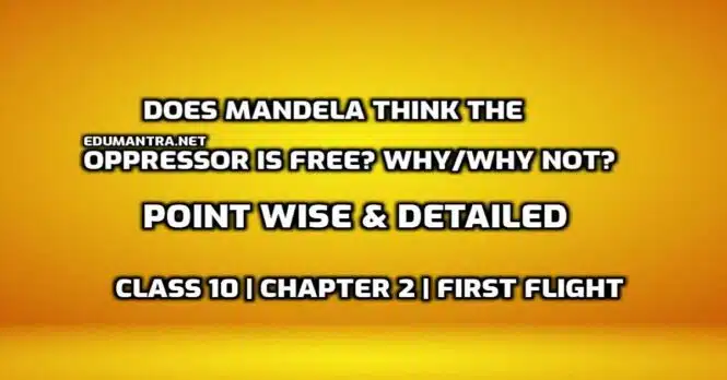Does Mandela think the oppressor is free WhyWhy not edumantra.net