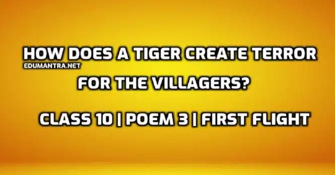 How does a tiger create terror for the villagers edumantra.net