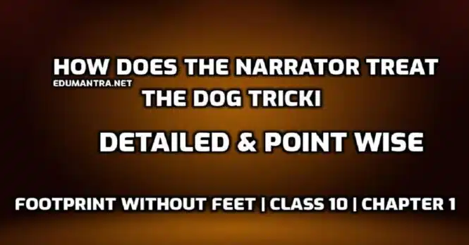 How does the narrator treat the dog Tricki edumantra.net