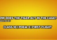 How does the tiger act in the cage edumantra.net