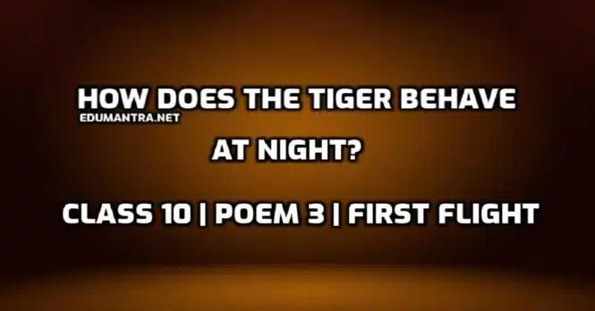 How does the tiger behave at night edumantra.net