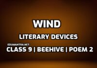 What are the literary devices used in the poem Wind edumantra.net