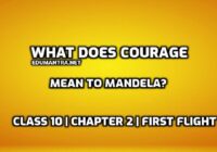 What does courage mean to Mandela edumantra.net