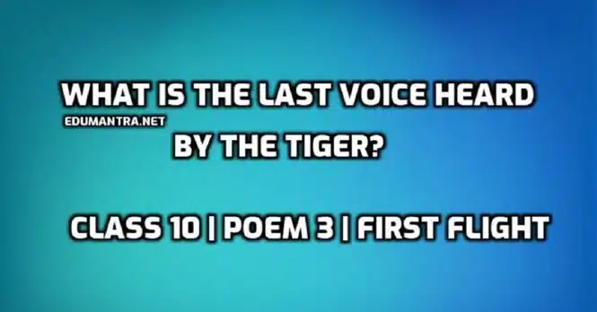 What is the last voice heard by the tiger edumantra.net