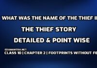 What was the name of the thief in The Thief Story edumantra.net