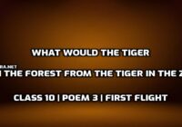 What would the tiger do in the forest from the tiger in the zoo edumantra.net