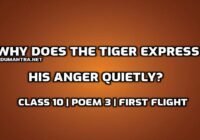 Why does the tiger express his anger quietly edumantra.net