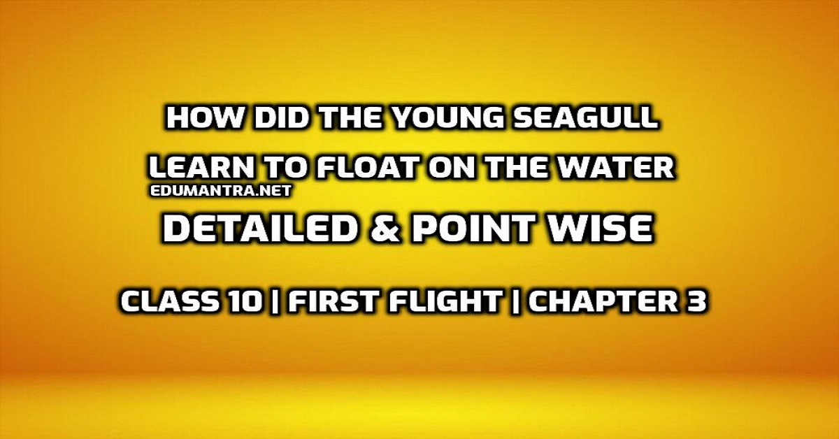 How did the young Seagull learn to float on the water edumantra.net
