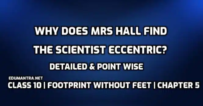 Why does Mrs Hall find the scientist eccentric edumantra.net