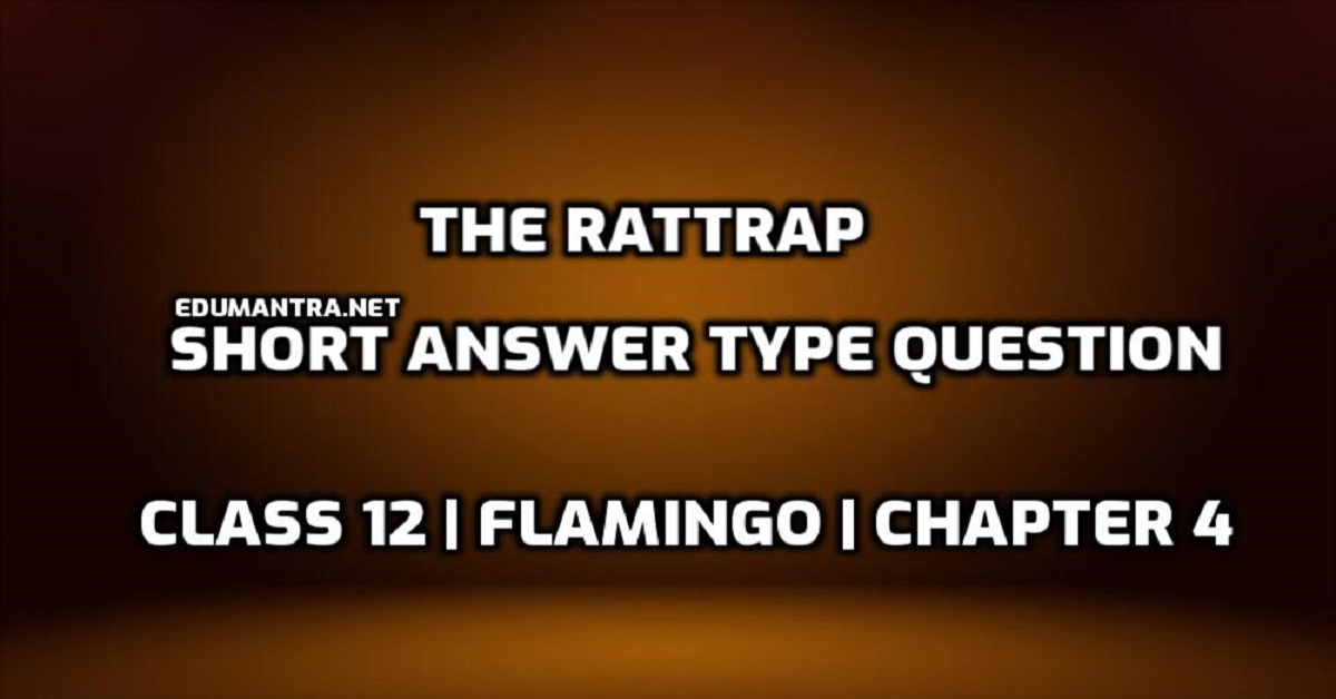 The Rattrap Short Answer Type Question | Assumption, Creativity ...