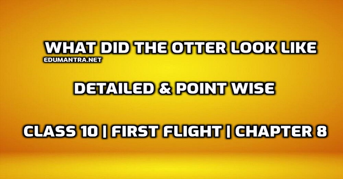 What did the otter look like class 10 | First Flight