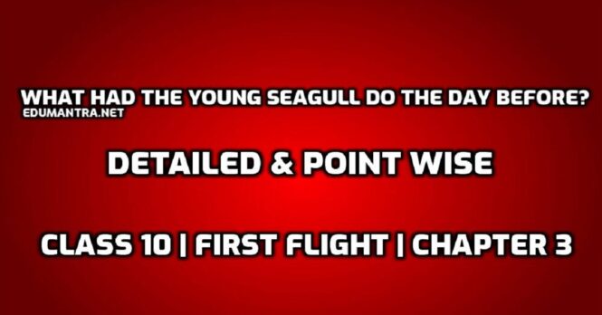 What had the young seagull do the day before edumantra.net